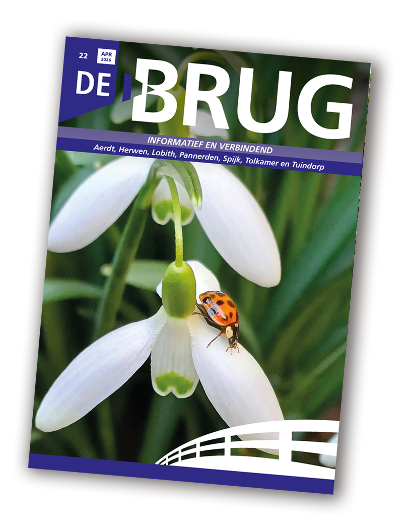 De Brug 22